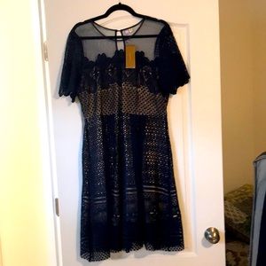 NWT Navy Lace Dress